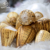 Natural Polished Corn Cone Shells 🐚 - StyleCrystals