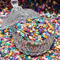 🌈 Rainbow Shell Chips – Natural Iridescent Shell Pieces for Healing, Crystal Cleansing &amp; DIY Craft Projects - StyleCrystals