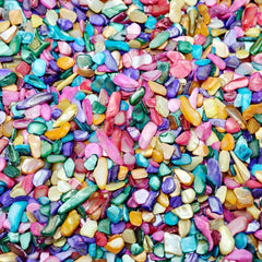 🌈 Rainbow Shell Chips – Natural Iridescent Shell Pieces for Healing, Crystal Cleansing &amp; DIY Craft Projects - StyleCrystals