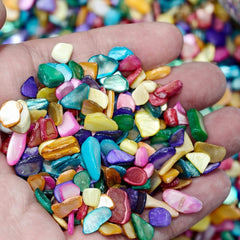 🌈 Rainbow Shell Chips – Natural Iridescent Shell Pieces for Healing, Crystal Cleansing &amp; DIY Craft Projects - StyleCrystals